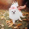 Dog Apparel Pet Birthday Hat Cartoon Cap Headwear Room Accessories Headgear Accessory Plush Party Costume Cat An Fittings