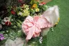 Vêtements pour chiens de compagnie robe de mariée de printemps Tutu Chihuahua Yorkshire Terrier Poodle Pomeranian Schnauzer Welsh Corgi Vêtements 240402