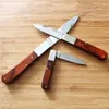 Knivar Redwood Handle Multifunction Fruit Cleaver KnifeHigh Quality Steak Knife Stainless Steel Cutlery Table Outdoor Tools