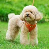 Collari per cani Riflettente Accarezza di cani con guinzaglio traspirante in nylon regolabile accesorios per chihuahua