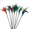 Cat Toys Feather Wand Kitten Cat Teaser Turkey Feather Interactive Stick Toy Wire Chaser Wand Toy Random Color Juguetes Para Gatos Varita De Plumas Gatito Cat Teaser