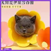 Dog Apparel Sunflower Felt Pet Collar Anti Licking Sterilization Shame Baby Cat Elizabeth Ring