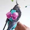 Другая птица поставляет попугайную одежду Тракционная веревка для питомца для подгузников брюки.