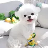 Buty odzieżowe dla psa Teddy Bichon Outdoor Footwie