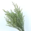 Dekorativa blommor 75G Eternal and Love Grass Real Environmental Protection Dry Flower Party Decoration Pography Home