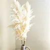 Flores decorativas 110 - 120 cm seco fofo pampas grama grande pluma atacado decoração de casamento boho natural decoração de jardim de flores reais