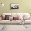 Kussentechnologie 3d kas fluweel borduurwerkstreeplijnomslag voor woonkamer slaapkamer decoratie sofa 45/50 cm