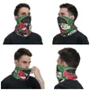 Eşarp Filistin karpuz bandana boyun örtüsü baskılı Filistin Balaclavas Yüz Eşarp Açık Spor UNISEX Yetişkin Tüm Sezon