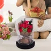 Decoratieve bloemen Echte roos in glazen koepel valentijnsdag cadeau decoratie kunstmatige bloem voor verjaardag bruiloft vrouw