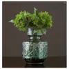 Vasi vaso di vetro verde nordico trasparente composizione floreale di grande fiore creativo soggiorno da pranzo decorazioni morbide ornamenti