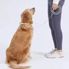 Hondenkragen leiden katten leiband pet automatisch nylon klein wandel touw uitstrekkende intrekbare medium accessoires voor