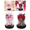 Dekorativa blommor Real Rose in Glass Dome Valentines Day Decor Eternal Flower for Wedding Anniversary Mother Thanksgiving