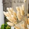 Decorative Flowers Tail Grass Natural Dried Bouquet Colorful Lagurus Ovatus Wedding Christmas Living Room Home Decor Accessories