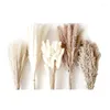 Decoratieve bloemen 120 stks gedroogd Cattail Bouquet -Pampas Grass bevat wit pampas bruin decor