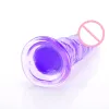 Toys érotique Soft Jelly Dildo Anal Butt Plug réaliste avec simulation de ventouse Big Dildo Sex Shop Sex Toys for Woman