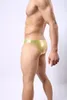 Men de sous-pants Men Briefes Sexy Underwear Mens Low Raise imitation en cuir en cuir Pouche de pénis masculin pour gay