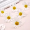 Flores decorativas 10 piezas / bolsa 6cm Seda artificial White Daisy Flower Boda / fiesta Decoración de la casa Decoración Accesorios Muro