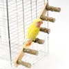 Autres fournitures d'oiseaux en bois Interactive Ladder Training jouet pour petit animal de compagnie Hamsters Claw Gringing Wooden Swing grimpant