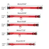 Collari di cani che brillano il colletto per i cani che proteggono durante le passeggiate notturne e l'addestramento forniscono sicurezza F0T4