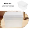 Plates Toast Storage Box Baker Rack Fresh Keep Holder Bread Container Organizer Kitchen Pp Fridge Bead Bin