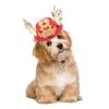 Собачья одежда Рождественская шляпа Смешная праздничная вечеринка для декора кошки косплей Costumer для Pet Puppy (Санта -Клаус)