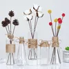 Vazolar Yaratıcı Nordic Cam Şeffaf Su Hidroponik Çiçek Halat Kuru Vazo DIY sahte şişe ev masa dekor