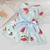 Robe d'animal de compagnie de vêtements pour chiens avec bowknot de pastèque de pastèque à fraise à fruit inégal pour petit chats moyen chats chiot