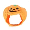 Hundekleidung Sombrero de Calabaza Para Perro y Gato Turbante Navidad Pascua Tocado Halloween Maskottchen Suministros Cachor