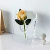 Vaser 1pc akrylvase bildram design enkelt högt utseende horisontellt skrivbord transparent konstdekoration hydroponic
