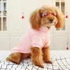 Vêtements pour chiens Vêtements de printemps en toison à deux jambes décorées de chapeau de dentelle rose broder glacée de crème glacée en peluche en peluche