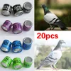 Autres fournitures d'oiseau 20pcs Pigeon Jams anneaux GB Foot Ring Plastic Aluminium Tools Training