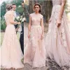 Dresses 2017 New Elegant Champagne Wedding Dresses ALine Lace Tulle Appliques VNeck Wedding Party Bridal Gowns QC296