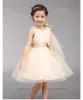 ドレス新しいスタイルの子供の2〜4人の女の子のドレスコスプレコスチュームシンデレラウェディングドレスベビーガールプリンセスパーティードレスベスティドス