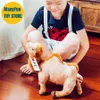 Chameau anime mignon peluche bactrian toys animaux réels simulation de poupée en peluche kawai cadeaux enfants 240325