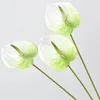 Decoratieve bloemen Simulatie Anthurium Andraeanum Lind Wedding Bouquet middelpunt PO Prop Fake Decor Home