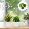 Decorative Flowers 4 Pcs Artificial Potted Office Green Pots Indoor Fake Mini Plastic Plants