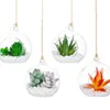 Candle Holders Air Terrariums Container Globes Led Succulente Hoder Holder Tillandsia Hydroponics Vaas Tealight Hangende Globe Terrarium