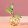 Vazen ijzeren lijn bloem vaas terrarium retro metalen plantenhouder moderne geometrische huistafelk