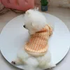 Köpek Giyim Evcil Hayvan Giysileri Sonbahar ve Kış Sıcak Kedi Köpek Aroma Portakal Teddy Bichon Güzel Sweater