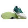 Chaussures de football pour hommes Top salaes ic cales Boots de football extérieur scarpe da calcio vert vert jaune