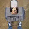 Porte-chiens chat chaton extérieur pour voyager des transporteurs extensibles