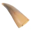 Vasi vasi vintage decorazioni corni montati a parete horns western horn natural home artigianato rustico