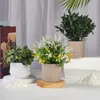 Flores decorativas Simulação Planta verde em vaso de decoração Plantas de mesa de flor sala de estar interna pequena
