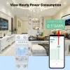 Détecteur Hottuya Smart Zigbee Energy Meder Bidirectional Single Phase 80A DIN Rail Monitor Wattmètre Voltmètre Ampermeter