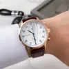 デザイナーのワンジアグレープシリーズQuartz Watch WS006