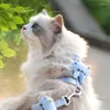 Hondenkragen katten riem kunnen worden gebruikt om te voorkomen