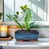 Vasi ceramica succulenta fiore bonsai rettangolo mini vegetazione venage glassata con foro di scarico decorazioni da giardino domestico