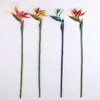 Fiori decorativi 1pc Bird of Paradise Gomma STEM Flower Adatto per decorazioni per matrimoni a tema per feste per casa fai -da -te