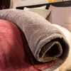 Одеяла коралловый флис Осенняя зима тепло для кровати 2-слойные сгущения фланелевого одеяла мягкие удобные утечки стеганых одеял