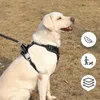 Colletti per cani imbracatura set di guinzaglio senza tiro per animali domestici regolabili riflettenti con una facile maniglia di controllo per medio grande